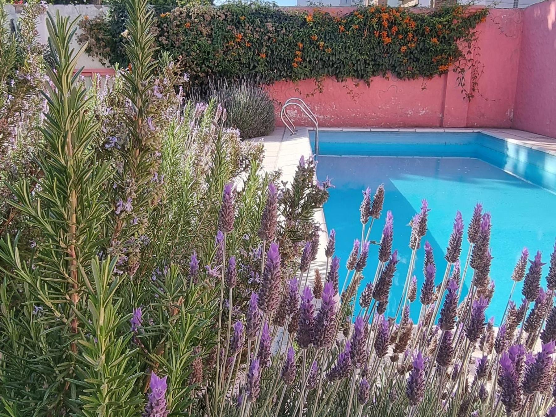 Yunga Hostel Salta Kültér fotó